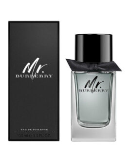 BURY Mr Burberry EDT 100ml