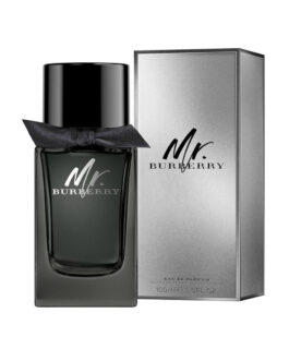 BURY Mr Burberry EDP 100ml (New)
