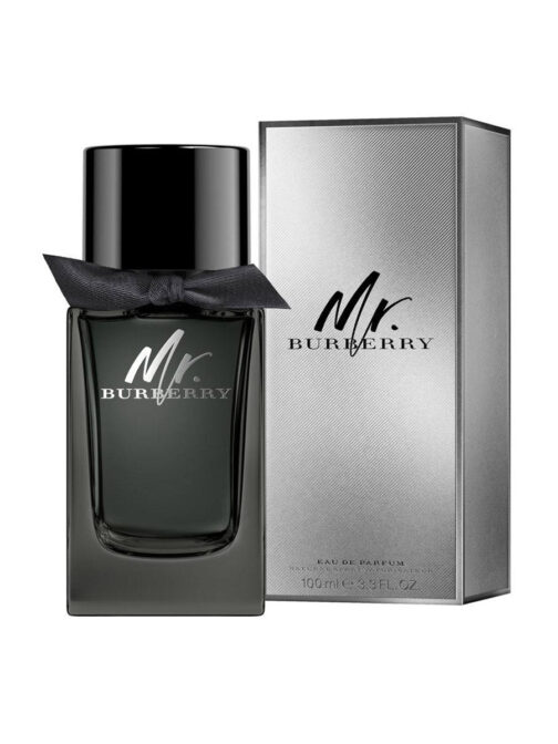 BURY Mr Burberry EDP 100ml (New)