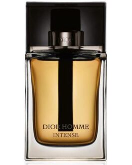 CD Men Perfume Dior Homme Intense 100ml